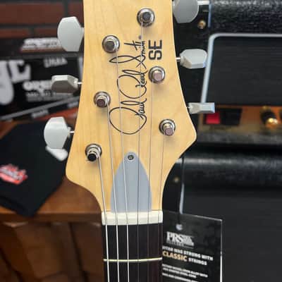 PRS SE Silver Sky 2025 - Present - Laurel Green image 3