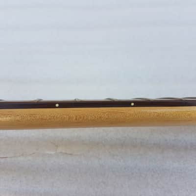 WASHBURN HOUSE of BLUES EDITION ROSEWOOD NECK 24 FRETS image 7