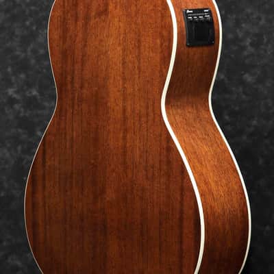 Ibanez PNB14E-OPN PN Performance Acoustic Bass 4-String - Open Pore Natural Mahogony image 2