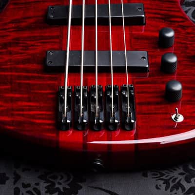 Wolf 5 String Jazz Bass Transparent Red Bass 2016 w/ Gigbag image 2