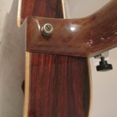 Dupont Jorgenson Guitar image 10