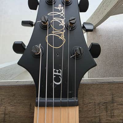 PRS Dustie Waring Signature CE 24 Hardtail 2023 image 9