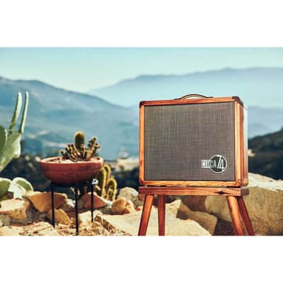 Taylor Circa 1974 Acoustic/Vocal Amp - Koa image 10