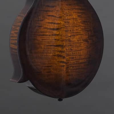 Northfield Big Mon w/ Engelmann Top, Tortoise Binding & Wide Nut (#B260901) image 12