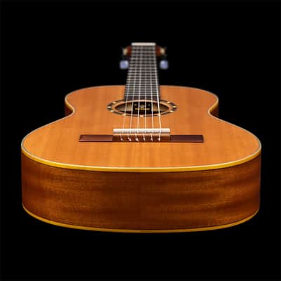 Ortega R122L-1/2 NT Lefthand Natural, incl.  Bag - Lefthand Classical Guitar image 8
