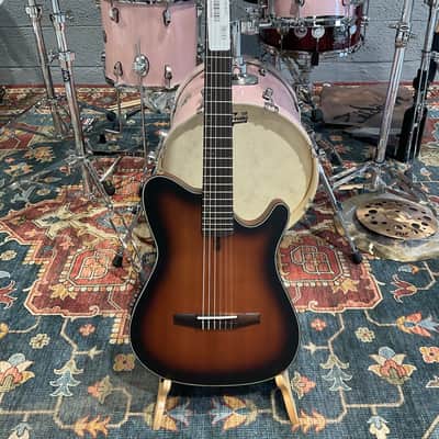 Ibanez FRH10NBSF Thinline Nylon Acoustic-Electric Guitar (Brown Sunburst) image 1