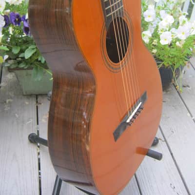 John C. Haynes Bay State Brazilian Rosewood Guitar image 15