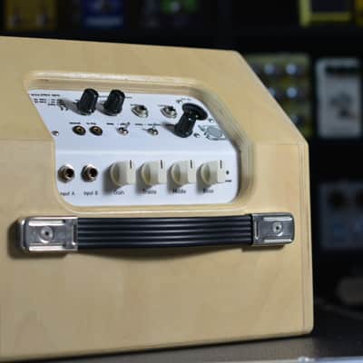 Mambo Amp 10" combo image 5