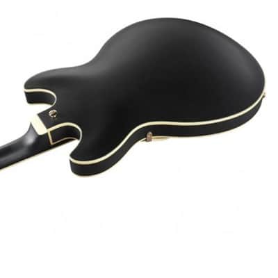 Ibanez AS73GBKF image 2
