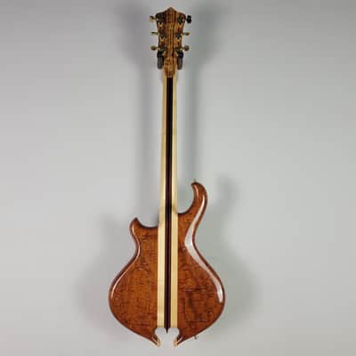 2009 Alembic Darling - Zebrawood With OHSC image 6