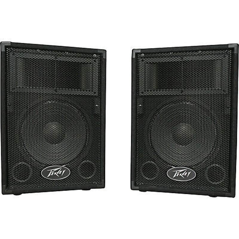 Peavey PVi10 Two 10" 100 Watt 2-Way Pro Audio Live Speaker System (Pair) image 1