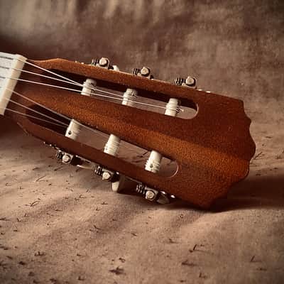 vintage classical guitar Hofner, model 514, "Flamenco", 1969 image 6