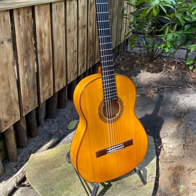 Salvador Castillo Flamenco Blanca 2008 - French Polish image 14
