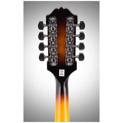 Washburn M1 Mandolin Pack with Gigbag image 8