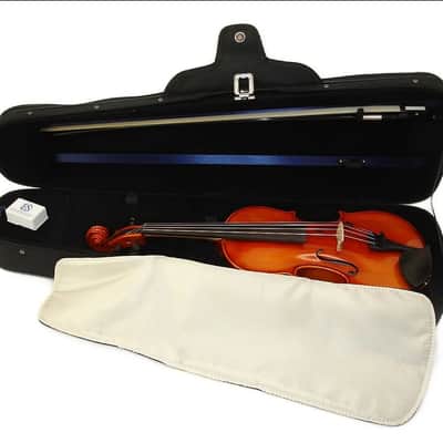 Eastman VL100 4/4 Student Violin Outfit with Bow, Case & Rosin image 1