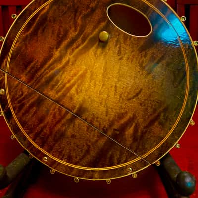 Gibson TB 5 Trapdoor Tenor Banjo Fully Restored image 12