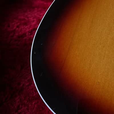 Fender Telecaster Custom Made in Japan Brad Paisley Pickups & Tweedcase image 4
