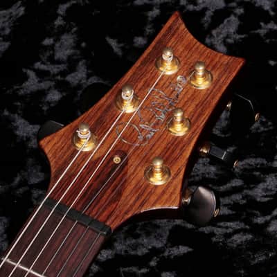 PAUL REED SMITH Custom 22 Aritist Package Tobacco Burst wrap around Burst [SN 160264] [07/18] image 7