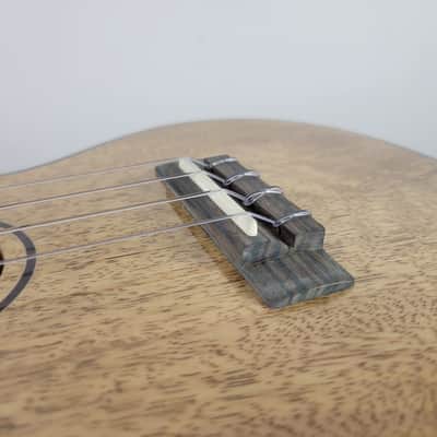 2022 Kala Curly Mango Concert Ukulele KA-MNGG-C image 11