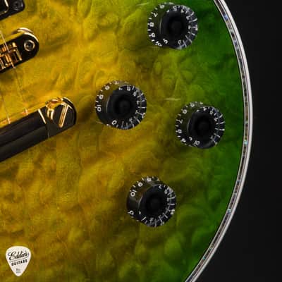 Gibson Custom Shop PSL Les Paul Ultima 5A "Tree of Life" Iguana Burst #CS600155 image 12