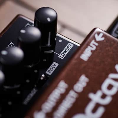Boss OC-5 Octave 2020 - Present - Brown image 3