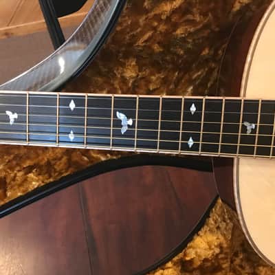 Goodall 2020 Standard Master Grade (Bearclaw) German/AAA Cocobolo (BRAND NEW) image 10