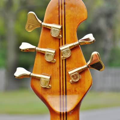 Charlee Le Grecque 1992 - Amberburst image 7