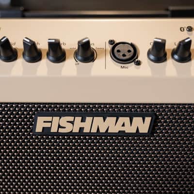 Fishman Loudbox Mini Acoustic Amplifier - 60 watts image 4