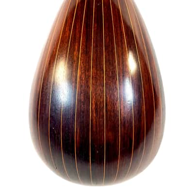 Mandoline de Concert Luigi Tamagno de 1904 image 8