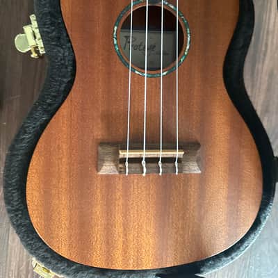 Cordoba Protege Ukelele Uke 2015? - Wood Nice Case Stand Like New image 6