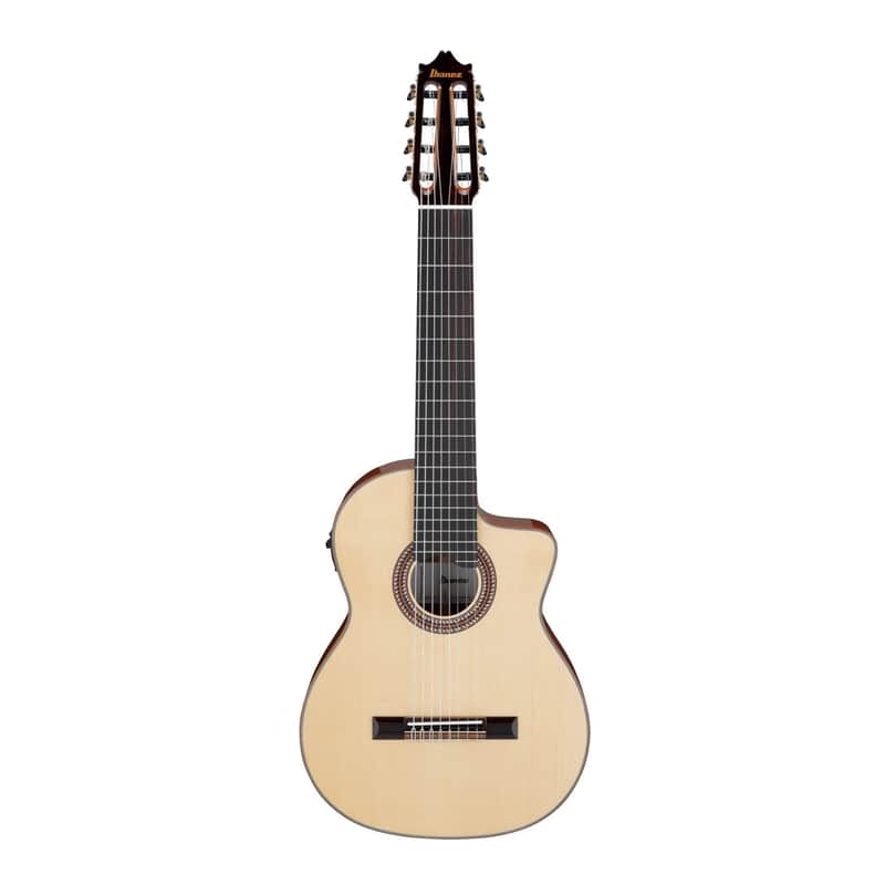 Ibanez GA3008CE Acoustic Electric Guitar with Hard Case (Natural High Gloss) image 1