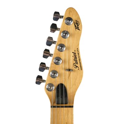 Peavey Patriot Owned by Mark Lettieri image 7