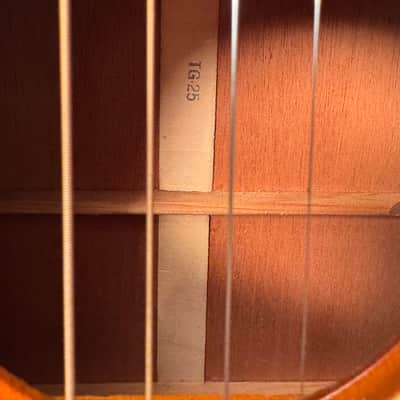 Gibson TG-25 1965 or 1968 with hard shell case image 11