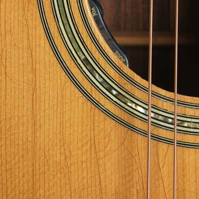 Martin D-45 w. Calton case (1977) image 13