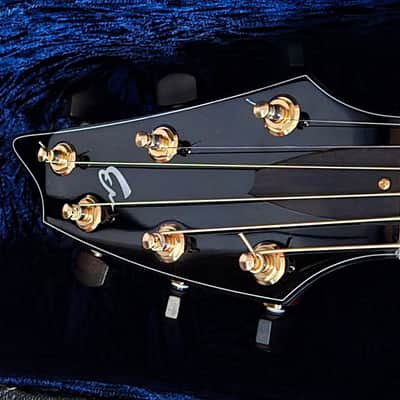 Breedlove C10/SE 2003 Striped Macassar Ebony image 6