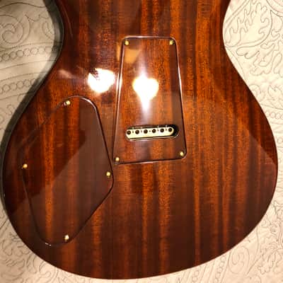 PRS Private Stock #6049 single Cut Trem in Tiger Eye Smoked Burst with Brazilian neck image 14
