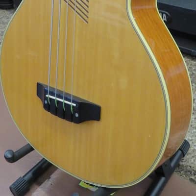 Washburn AB-20 1990s - Gloss Natural Wood With Washburn Case image 4