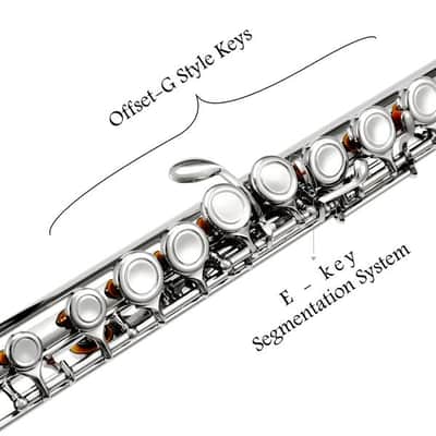 Closed Hole C Flute 16 Key - Nickel Flute Set With Carrying Case image 5