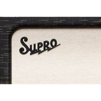 Supro Delegate Custom Combo Amp (25-Watt - 1 x 12") image 7