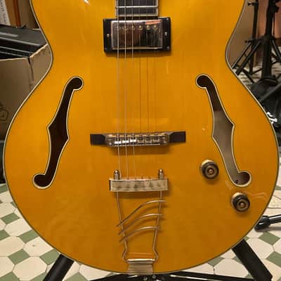 Ibanez PM2 AA Pat Metheny c/astuccio image 3