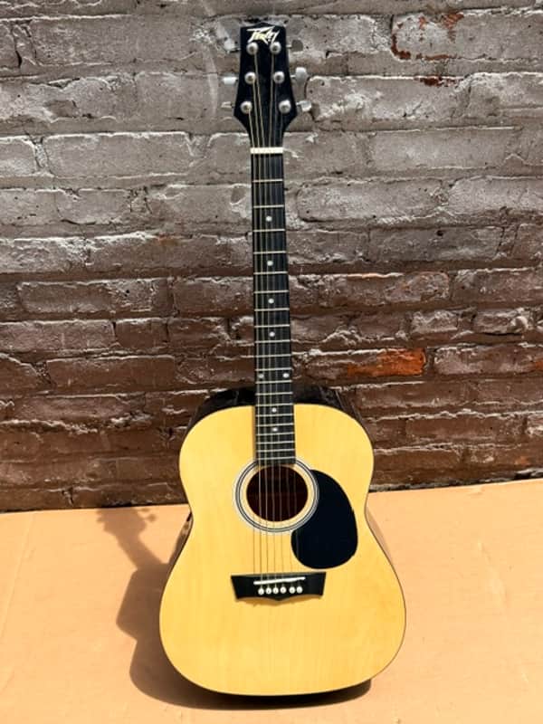 Peavey DW-1 Serial Number 0XIA0509 - Natural image 1