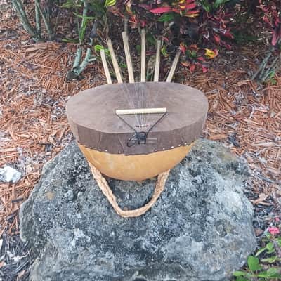 African-style pluriarc (compound musical bow): Extra large image 5