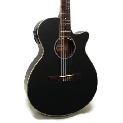 Ibanez AEG10NIIBK AE Series Acoustic-Electric Guitar Black