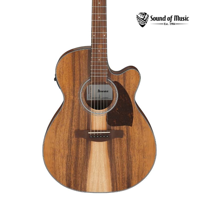 Ibanez PC50WSCE Acoustic-Electric Guitar - Open-Pore Natural image 1