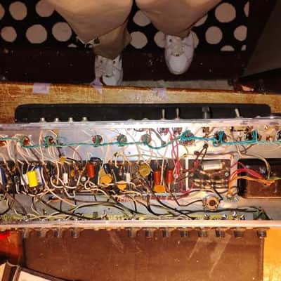 1973 Fender Dual Showman Reverb image 14