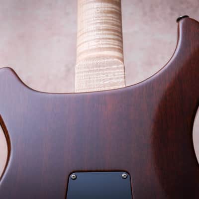 PRS USA Paul Reed Smith Wood Library Special 22 Semi Hollow 10-Top "Copperhead Burst" (2024) image 16
