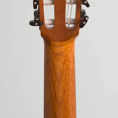 Ross Gutmeier Classical Guitar (2004), black rigid foam case. image 6