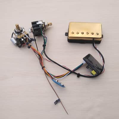 Veyz Sustainer Pickup System - Reversed Can Humbucker Design Gold Finish | Hosco Japan Push Push Potentiometer | Not A Sustainiac Stealth Pro Nor Fernandes Sustainer | image 5