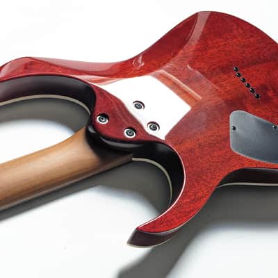 Ibanez RG421HPAH-BWB Standard 2023 image 18