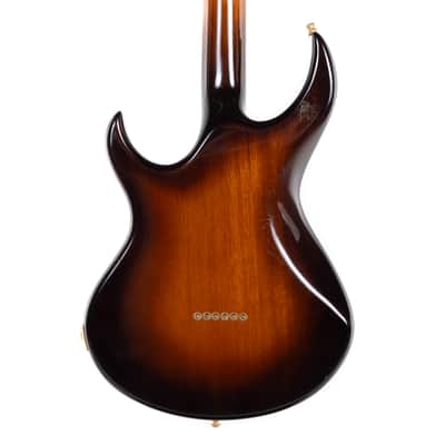 Greg Lake of Emerson, Lake & Palmer Owned & Used Custom Guitar image 12